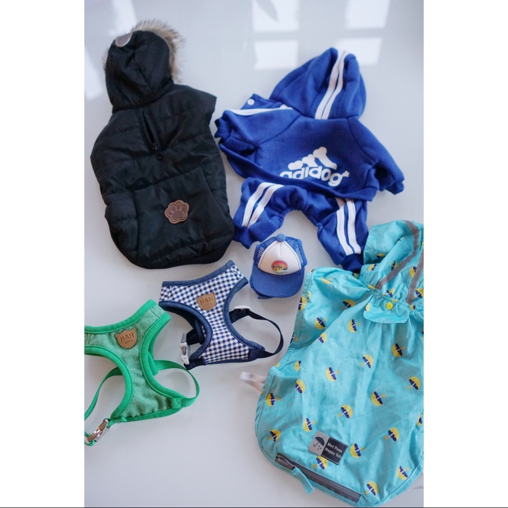 Dog Bundle 6 for $35